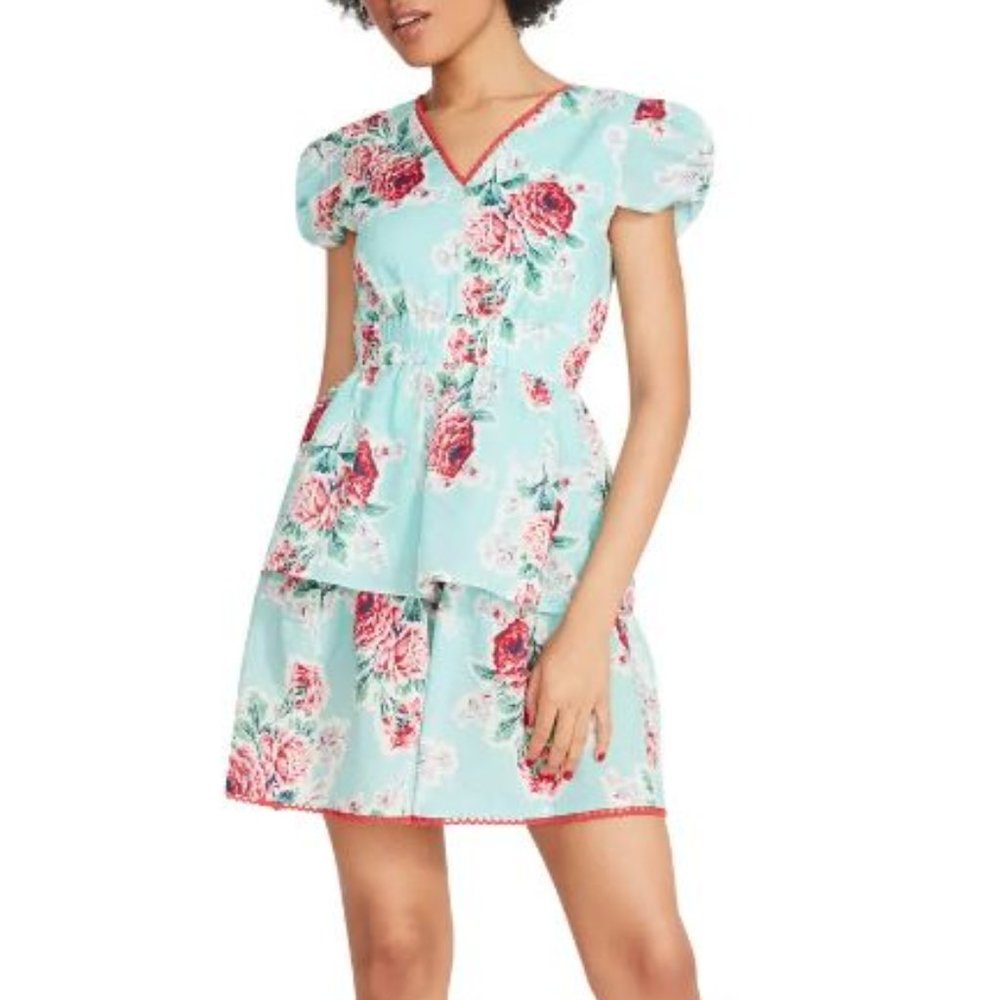 Betsey Johnson Rose Garden Seersucker Tea Dress